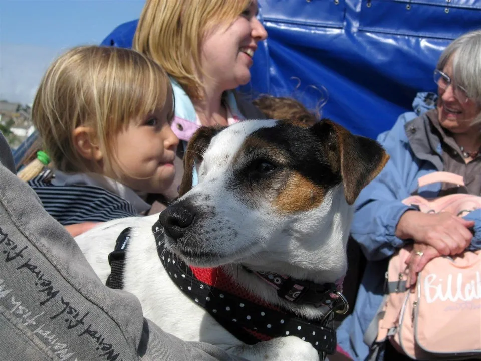 Day 2 doggy day out to st michaels mount